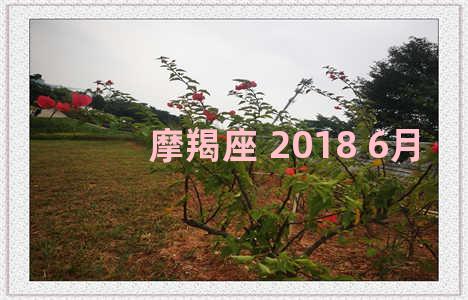 摩羯座 2018 6月